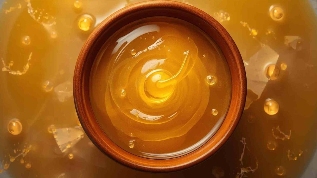 ঘি খাওয়ার উপকারিতা: স্বাস্থ্য, হজম, ও মস্তিষ্কের শক্তি বাড়াতে ঘি এর পুষ্টিগুণ