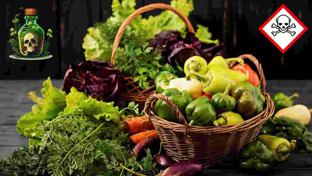 ঢাকার বাজারে ক্রেতারা শীতকালীন সবজি পরীক্ষা করছেন, উজ্জ্বল রঙের সবজি রাসায়নিক দূষণের লক্ষণ হতে পারে।