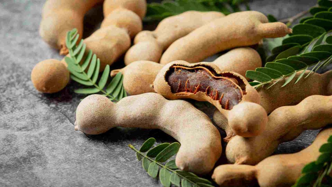 তেঁতুল খাওয়ার উপকারিতা: তেঁতুলের পুষ্টি ও স্বাস্থ্য সুবিধা