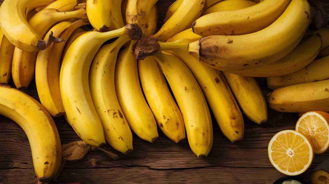 কলার পুষ্টিগুণ ও স্বাস্থ্য উপকারিতা— পটাশিয়াম, ফাইবার ও ভিটামিনসমৃদ্ধ ফল।