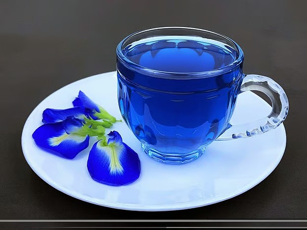 অপরাজিতা ফুলের বানানো চায়ের ছবি