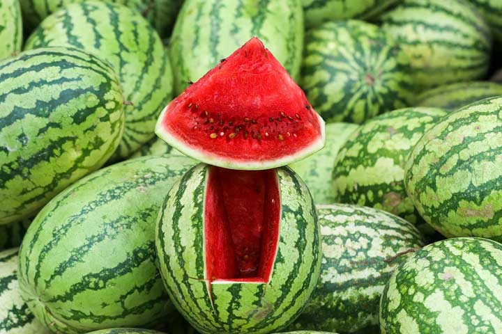 মিষ্টি তরমুজ চেনার উপায়