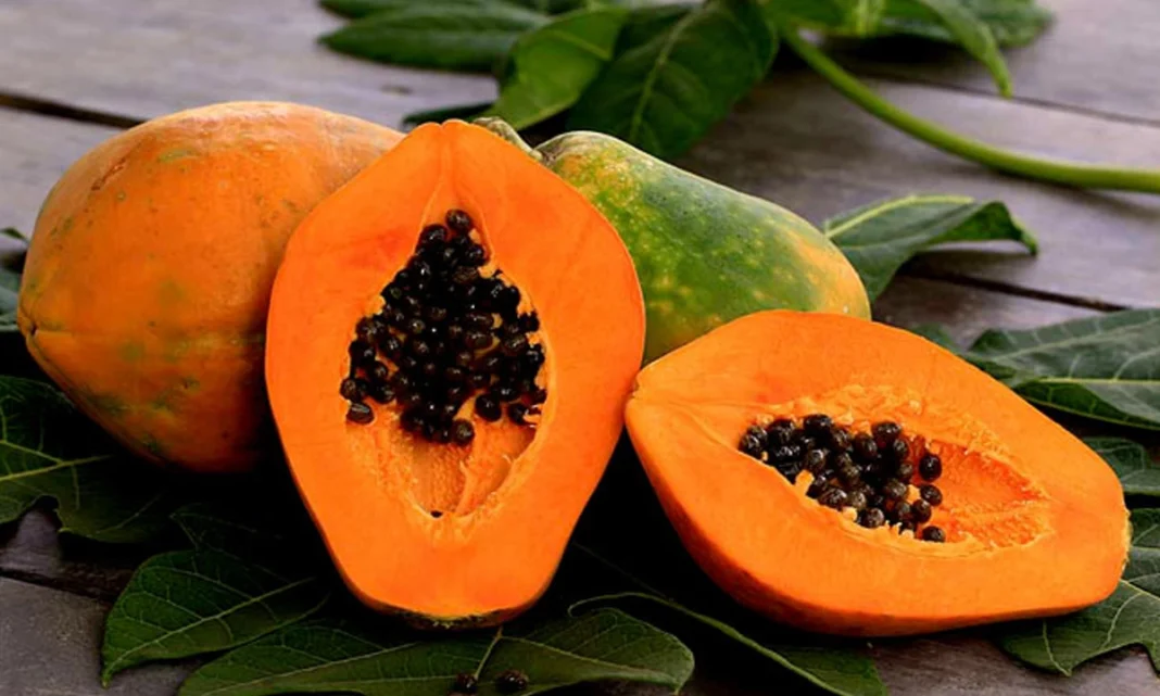 নিয়মিত পেঁপে খাওয়ার উপকারিতা