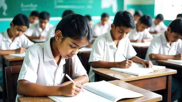 জাতীয় প্রাথমিক বৃত্তি পরীক্ষায় কৃতিত্ব
